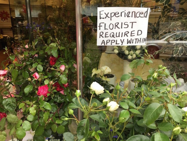 Florist window job advert