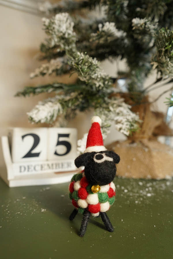 Pachamama Susans First Christmas