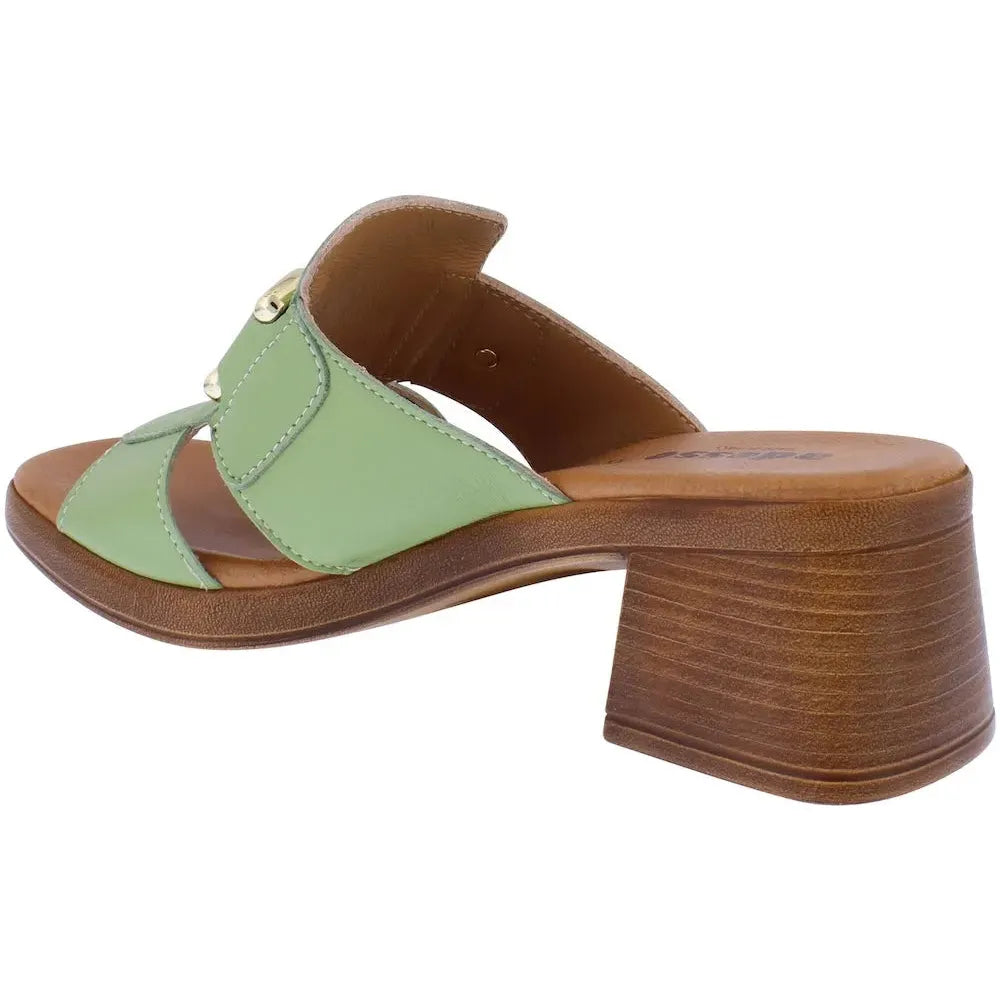 Adesso A8418 Luz Ladies Italian Pistachio Leather Slip-On Mules with chunky heel and decorative gold accents.