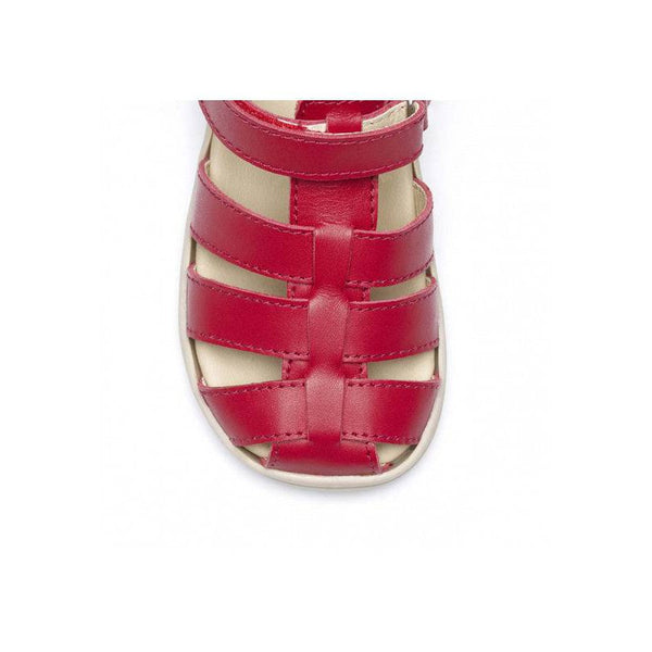 Chipmunk Noah Boys Red Leather Touch Fastening Sandals-elevate your sole
