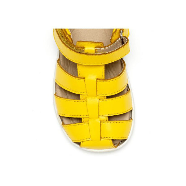 Chipmunk Noah Boys Yellow Leather Touch Fastening Sandals-elevate your sole