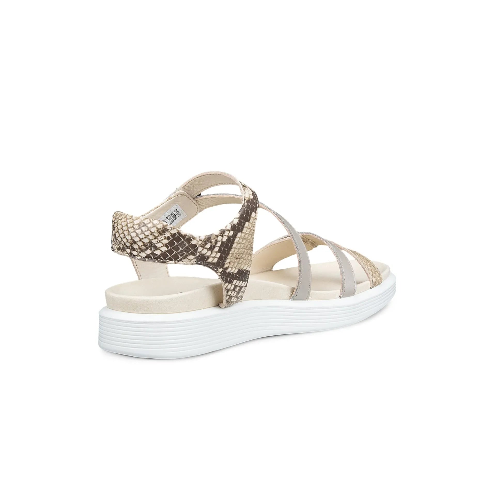 Beige sandal with snake print strap on a white background