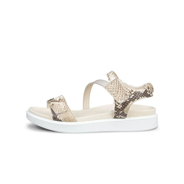 Single sandal with snake print straps on a white background