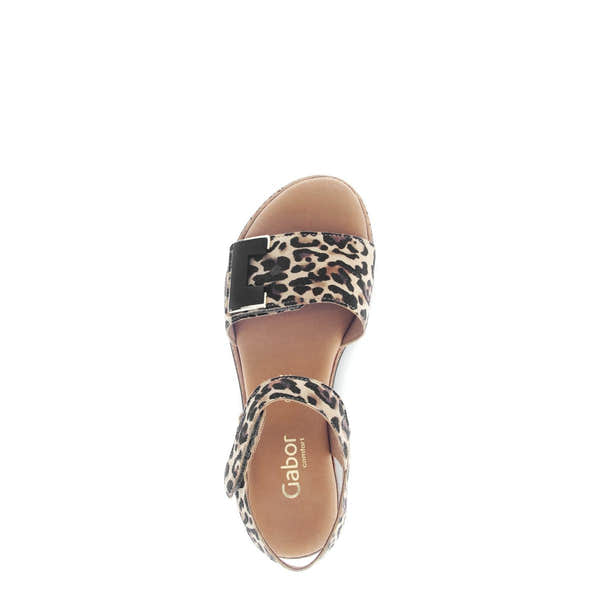 Gabor Ladies Animal Print Leather Touch Fastening Sandals with Wide Strap and Buckle, beige and black leopard pattern.