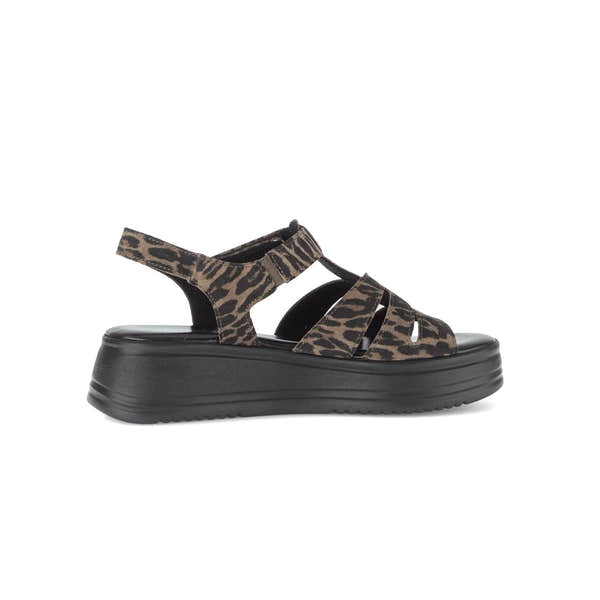 Gabor Abel Ladies Leopard Print Leather Touch Fastening Platform Sandals with chunky black sole.