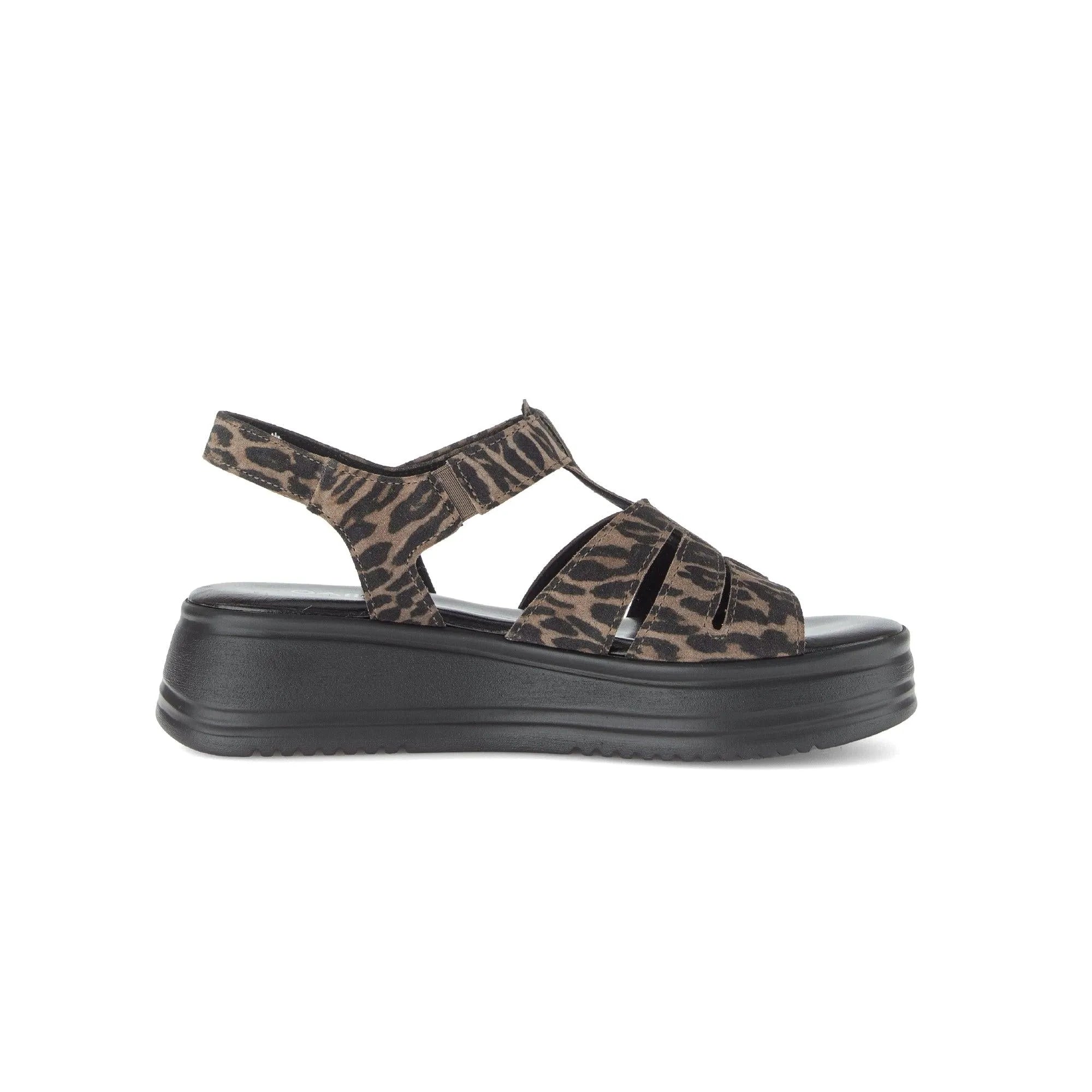 Gabor Abel ladies leopard print leather touch fastening sandals with chunky black platform sole.