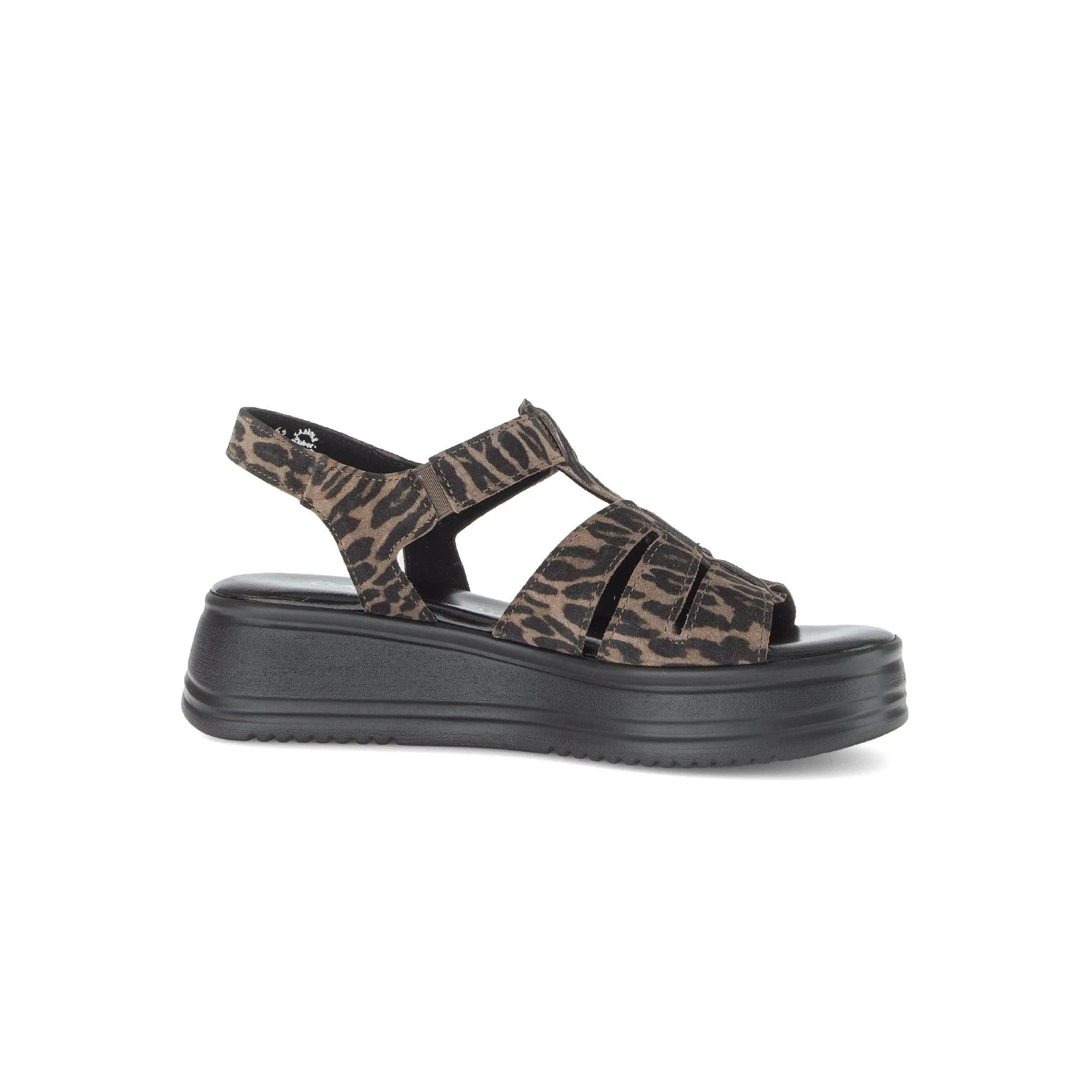 Gabor Abel women's leopard print leather touch fastening platform sandals with chunky black sole.