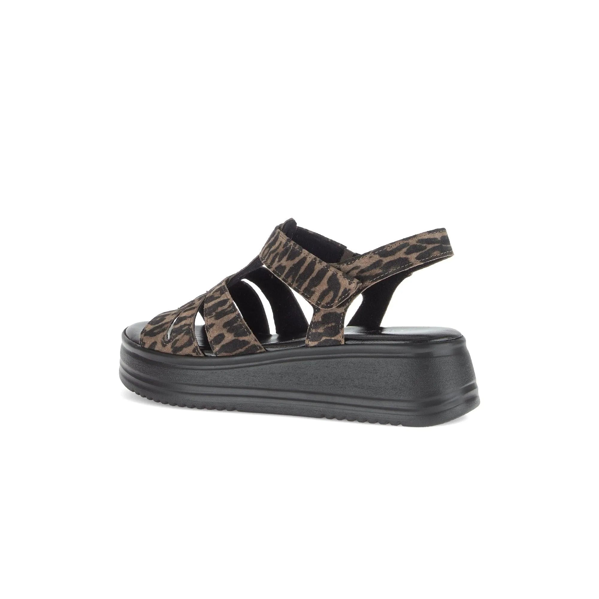 Gabor Abel ladies' leopard print leather touch fastening sandals with chunky black platform sole.
