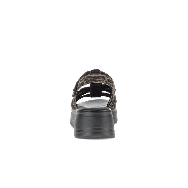 Gabor Abel Leopard Print Leather Fastening Ladies Sandals with Chunky Black Sole