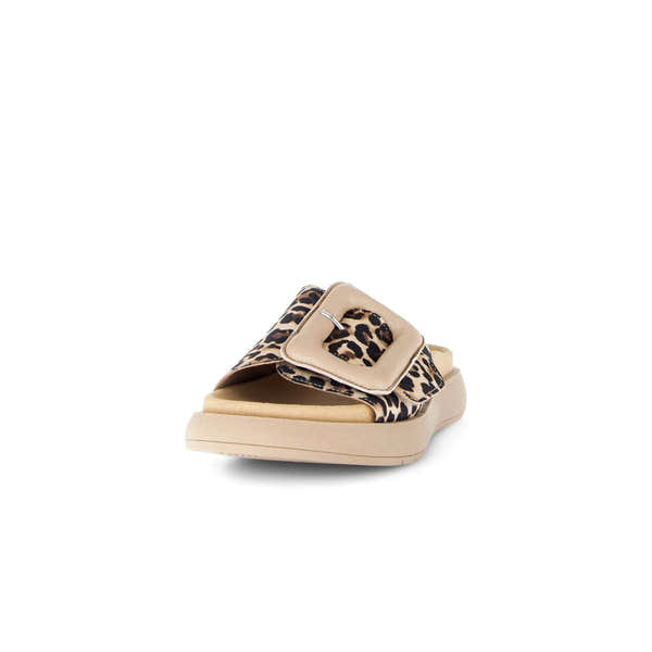 Gabor Adios Ladies Leopard Print Leather Touch Fastening Sandals with Buckle, open toe, cushioned sole.