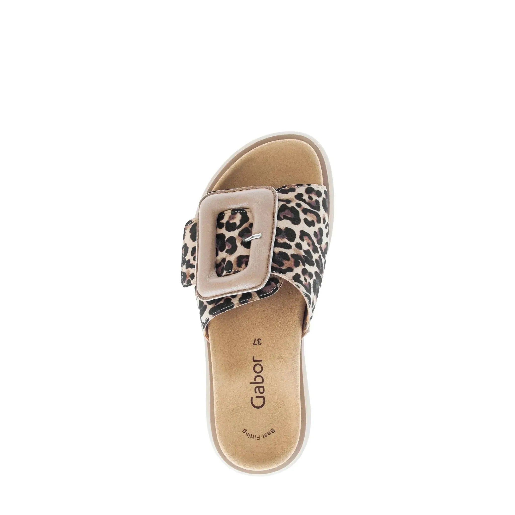 Gabor Adios Ladies leopard print leather touch fastening slide sandal with large buckle, beige footbed, size 37.