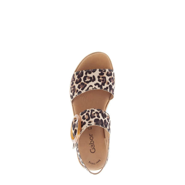 Gabor animal print suede touch fastening sandals with wide strap, buckle detail, and cushioned insole.