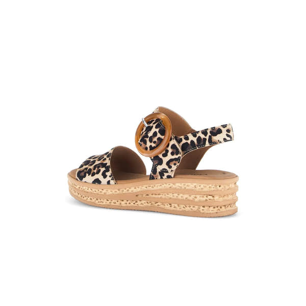 Gabor Andre women's animal print suede touch fastening sandals with a chunky layered platform sole.