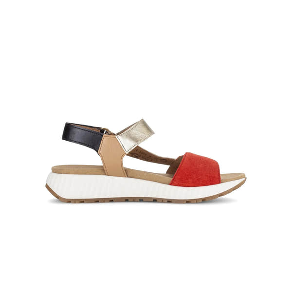 Gabor women's multi suede touch fastening sandals with beige, black, metallic, and red straps, cushioned sole, and textured outsole.