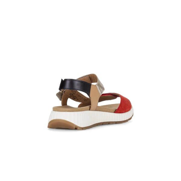 Gabor women's multi suede touch fastening sandals with cushioned sole and color-block straps, stylish and comfortable footwear.