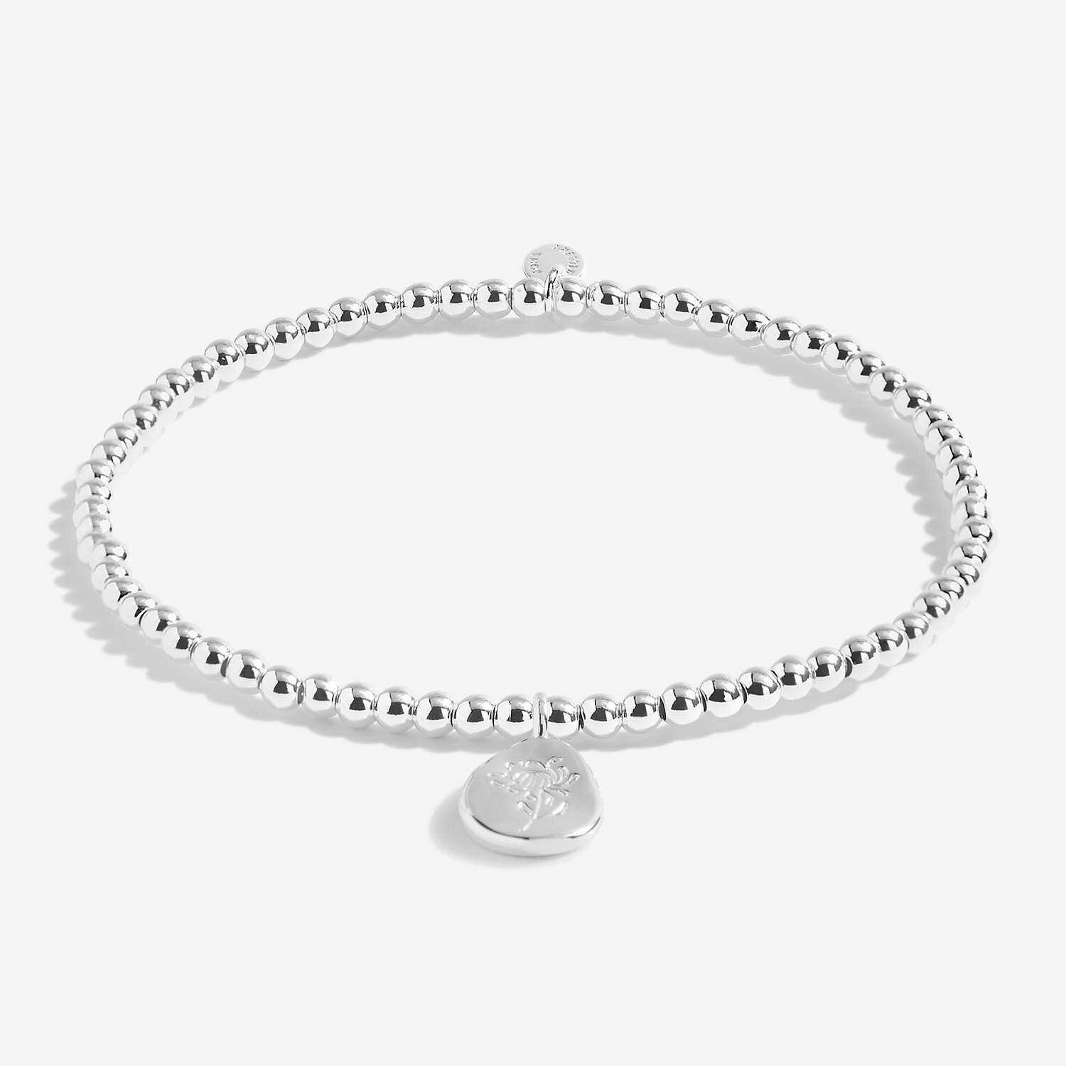 Joma Birthflower A Little November Chrysanthemum-elevate your sole