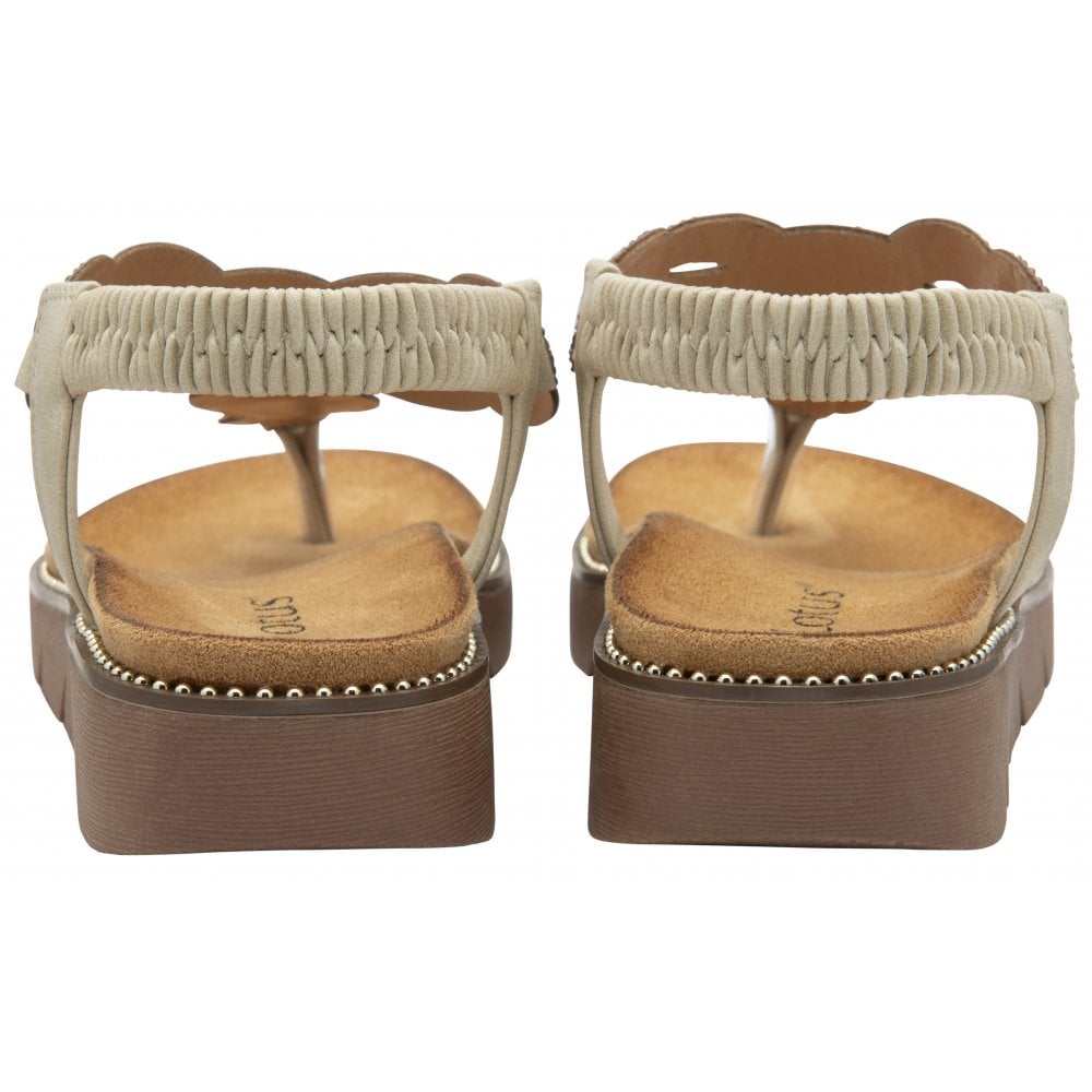 Lotus Alcina ladies elasticated beige flat sandals with cushioned footbed and chunky brown sole.