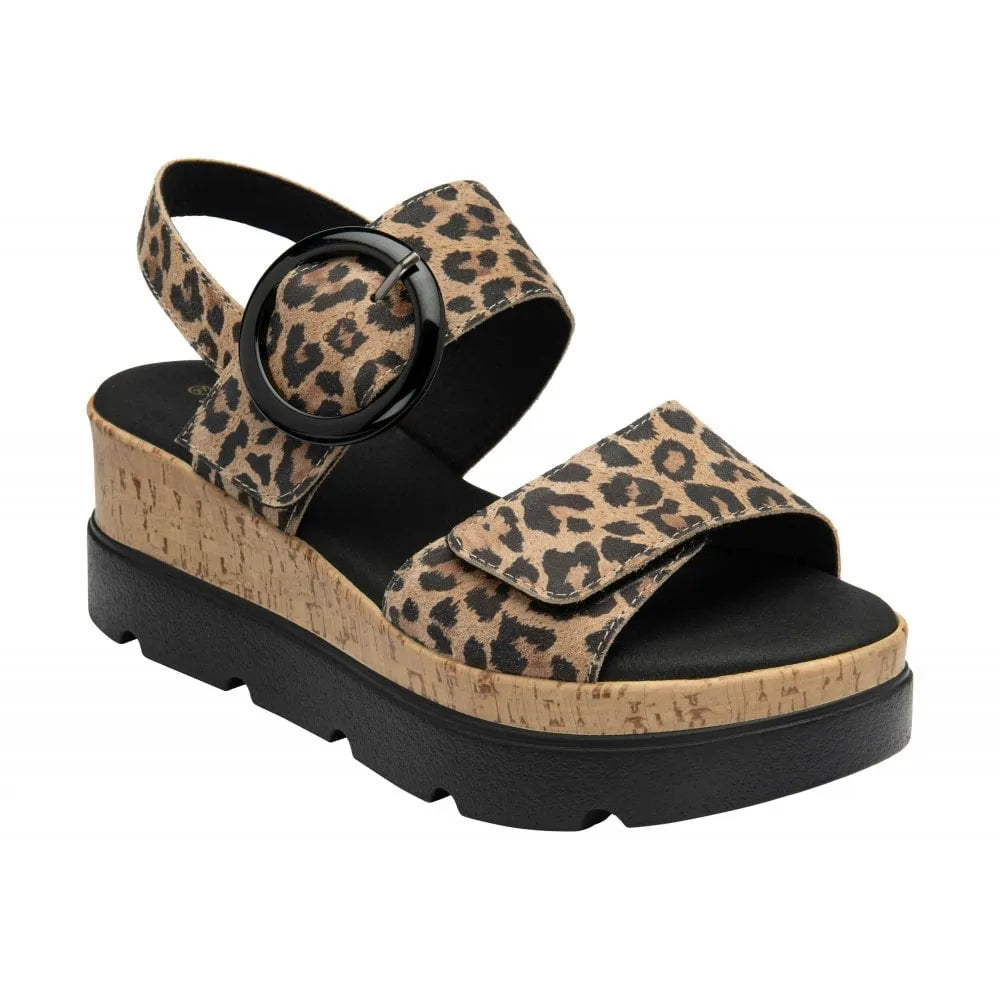 Lotus Cammie women's leopard leather touch fastening sandals with cork wedge sole and black buckle strap accents.