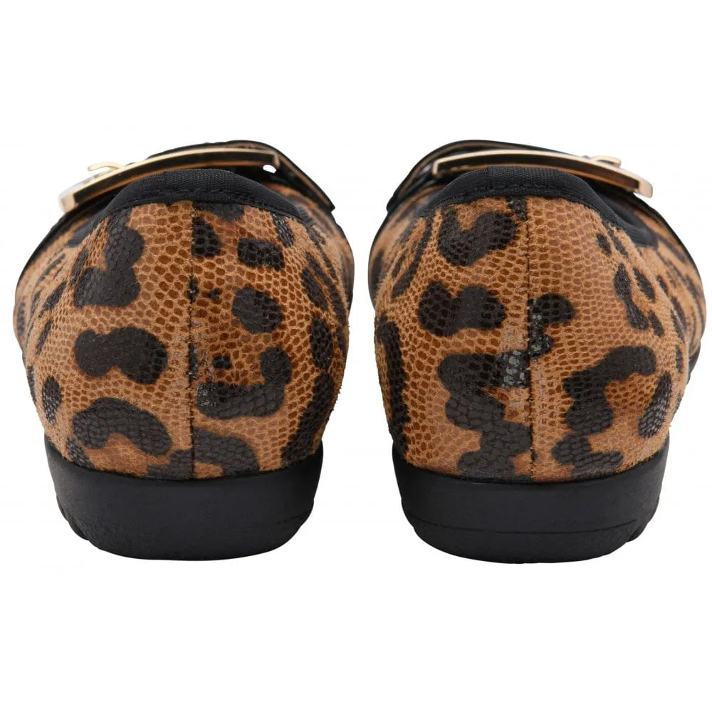 Lotus Tandy Ladies Leopard Slip-On Shoes with animal print pattern, pointed toe, and black sole.