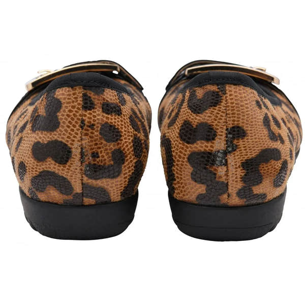 Lotus Tandy Ladies Leopard Slip-On Shoes with animal print pattern, pointed toe, and black sole.