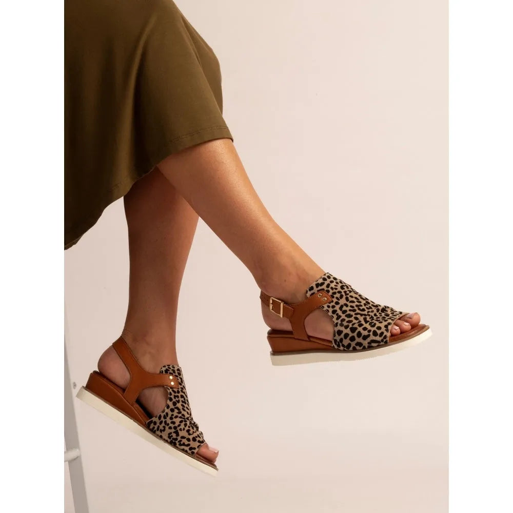 Brown buckle sandals with ocelot print, leather material, and a comfortable low heel, styled elegantly on a foot.