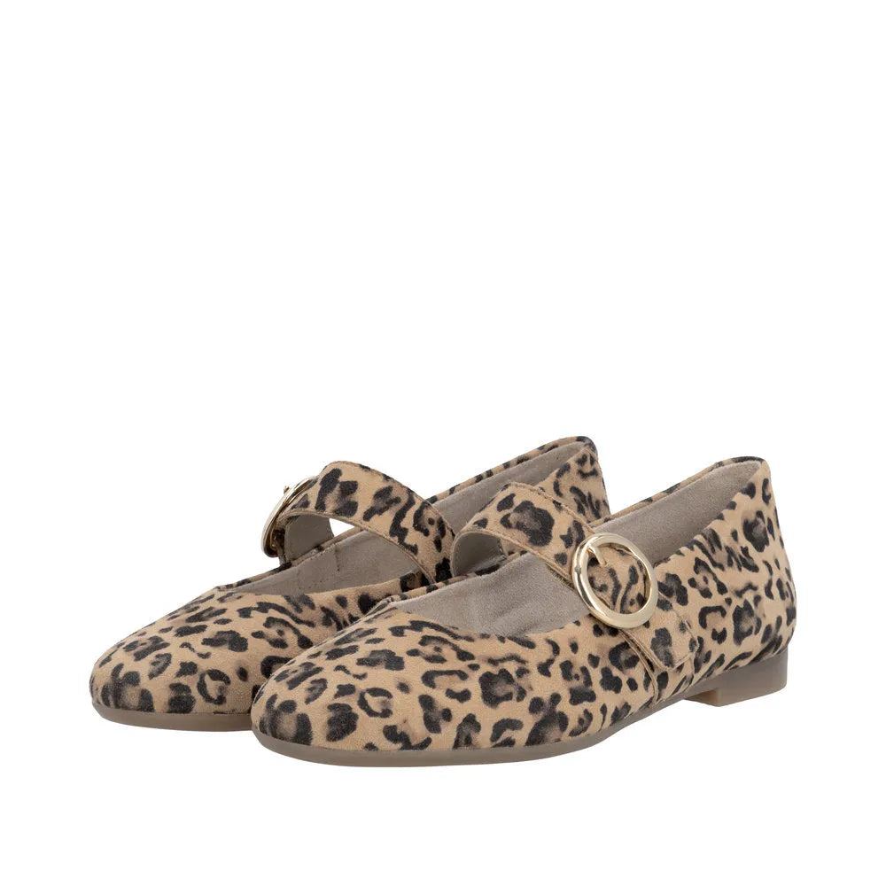 Leopard print suede ladies' shoes with a round gold buckle and touch fastening, featuring a flat sole and stylish design.