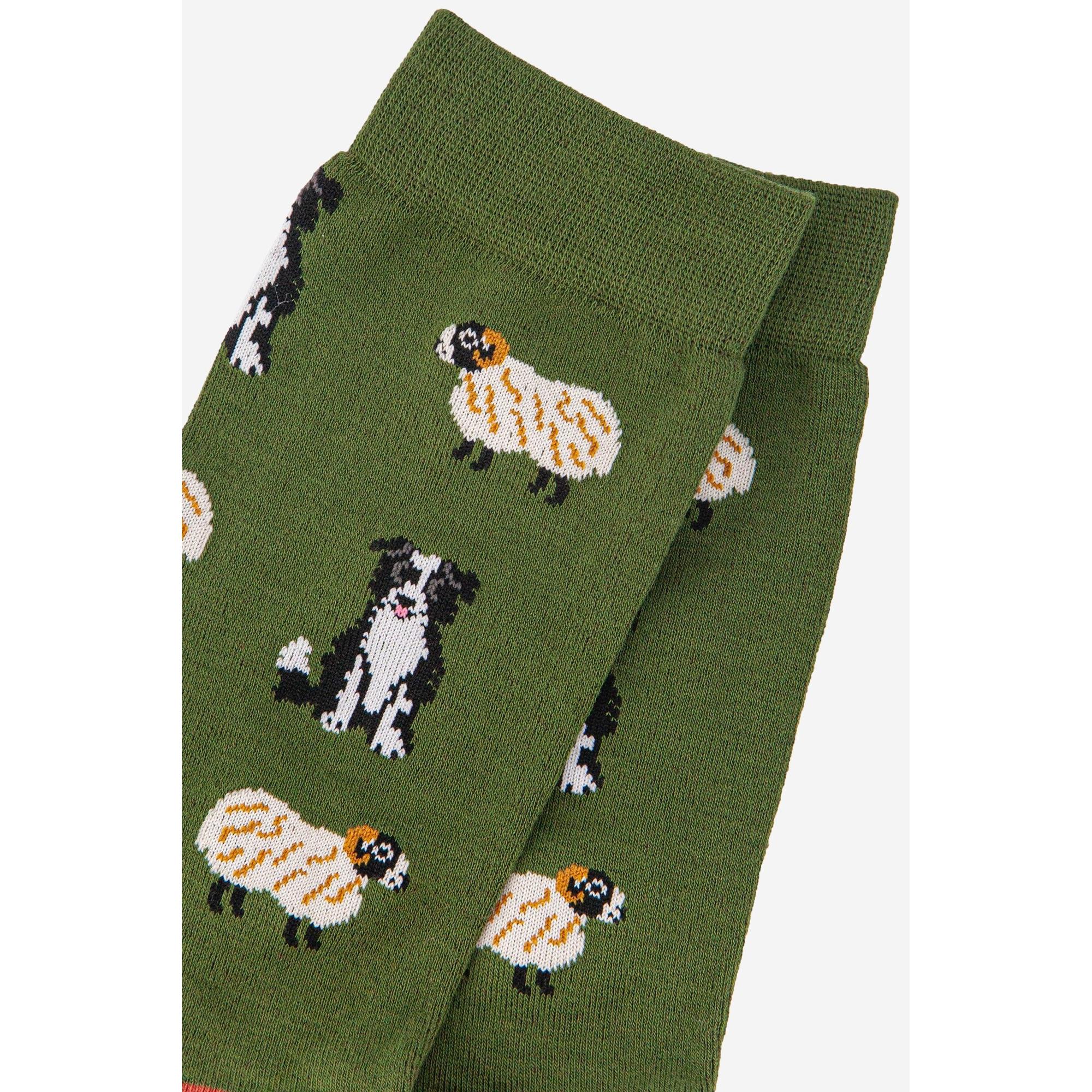 Sock Talk men's bamboo crew socks with border collie and sheepdog print, green background, stylish and comfortable.