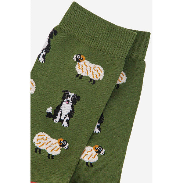 Sock Talk men's bamboo crew socks with border collie and sheepdog print, green background, stylish and comfortable.