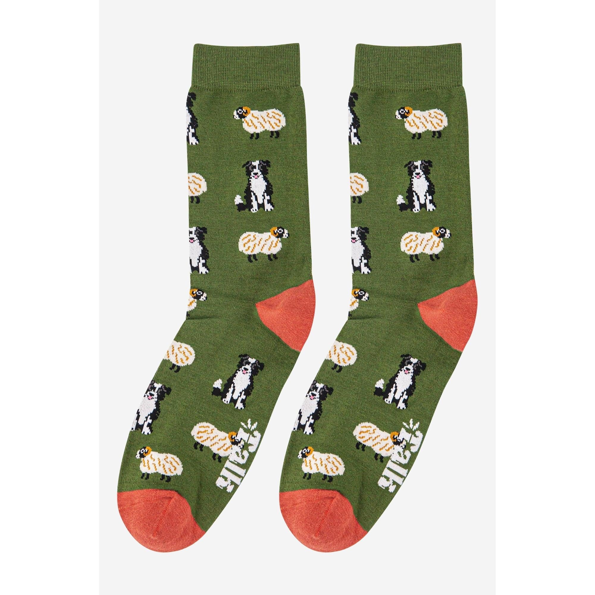 Sock Talk men's bamboo socks with border collie and sheepdog trial print, green background, orange heel and toe.