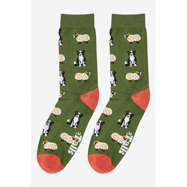 Sock Talk men's bamboo socks with border collie and sheepdog trial print, green background, orange heel and toe.