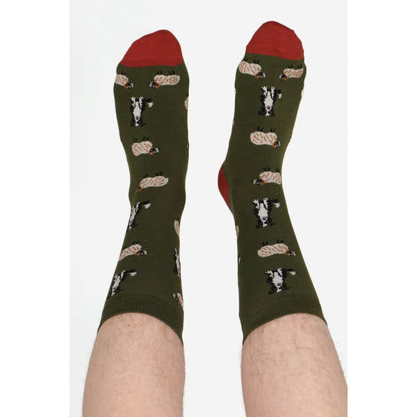 Sock Talk men's bamboo socks featuring Border Collie and sheepdog trial dog print, green background with red toes.