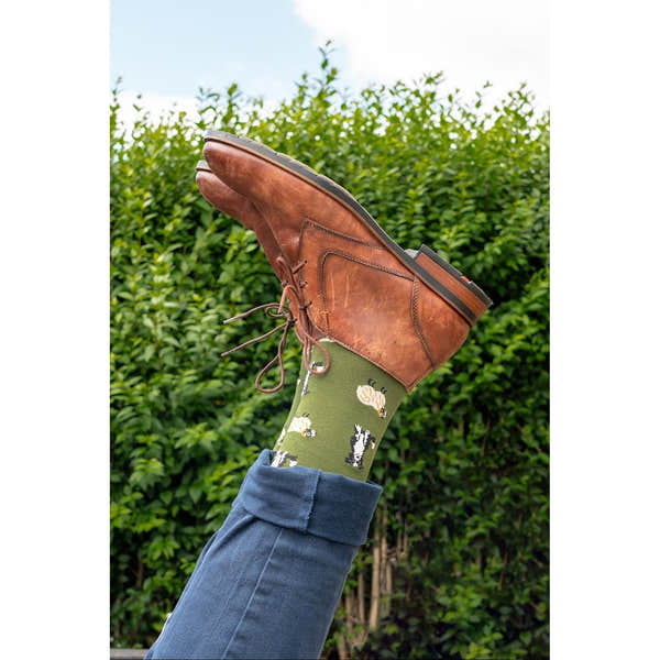 Sock Talk men's sheepdog-themed bamboo socks with border collie design, visible under brown leather shoe and blue jeans.