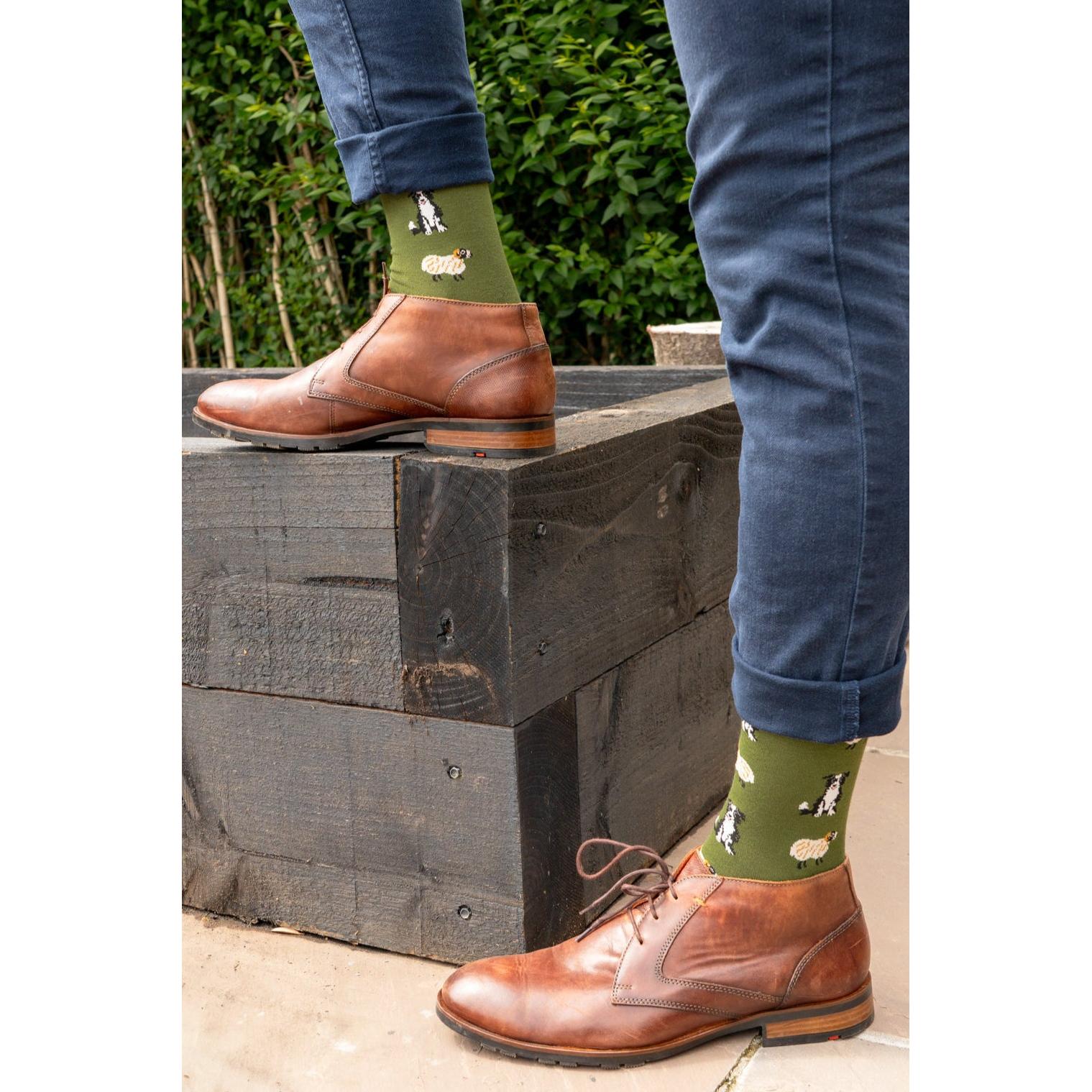 Men's Border Collie Sheepdog trials bamboo socks with dog designs, paired with brown leather dress shoes.