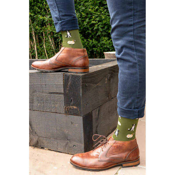 Men's Border Collie Sheepdog trials bamboo socks with dog designs, paired with brown leather dress shoes.