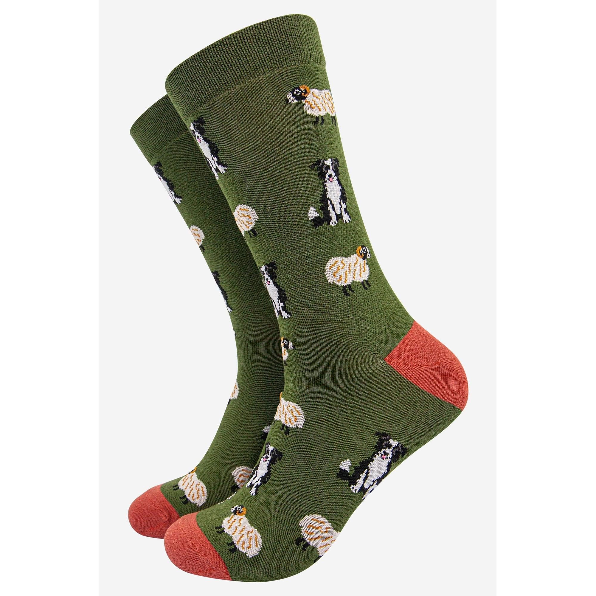 Sock Talk men's bamboo socks with Border Collie and sheepdog sheep print, green background, and orange toe accents.