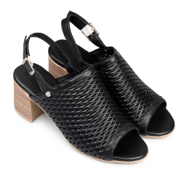 Van Dal Carol Black Slingback Sandals-elevate your sole