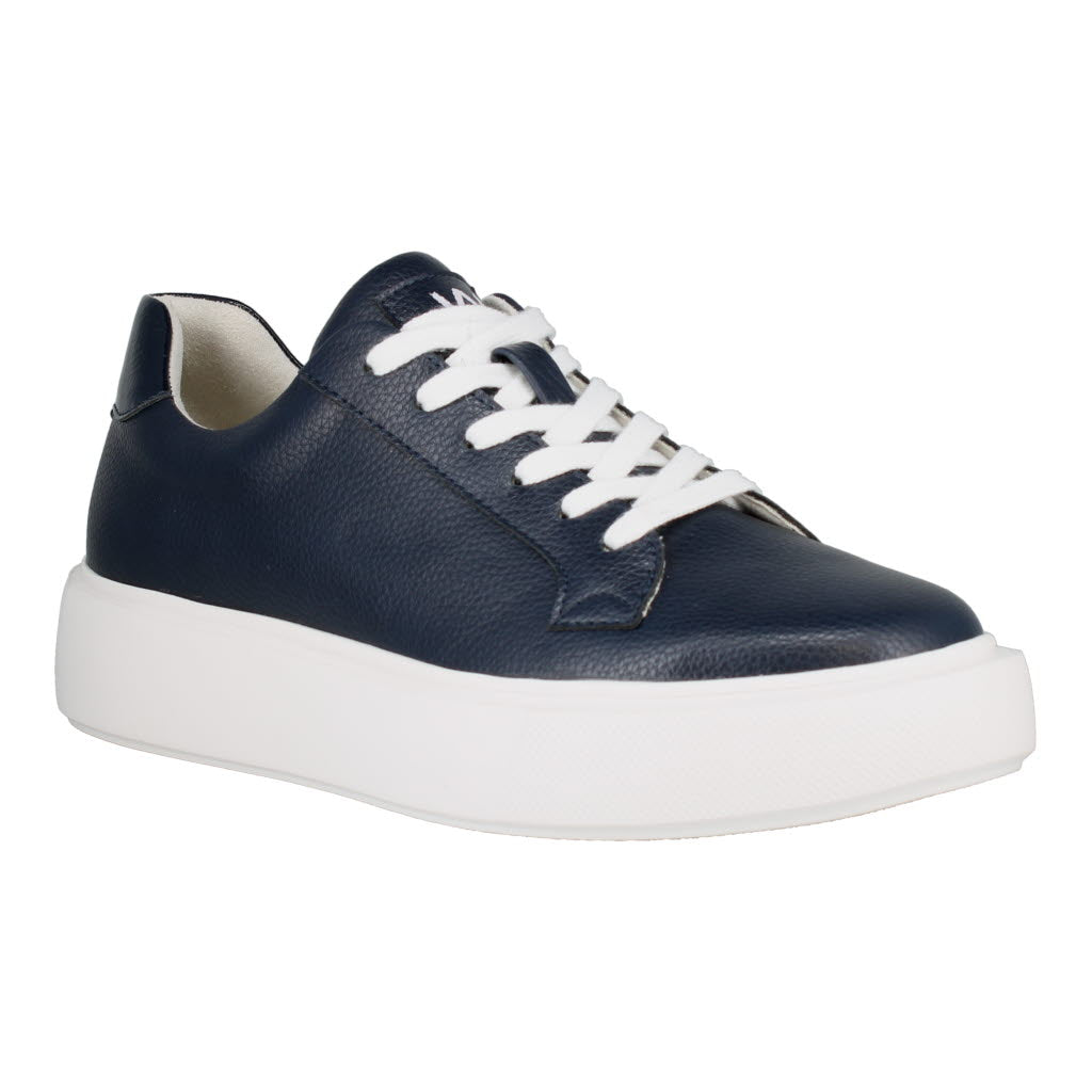 Westland Kate 03 Ladies Blue Combi Vegan Lace-Up Trainers with white sole and textured leather finish.