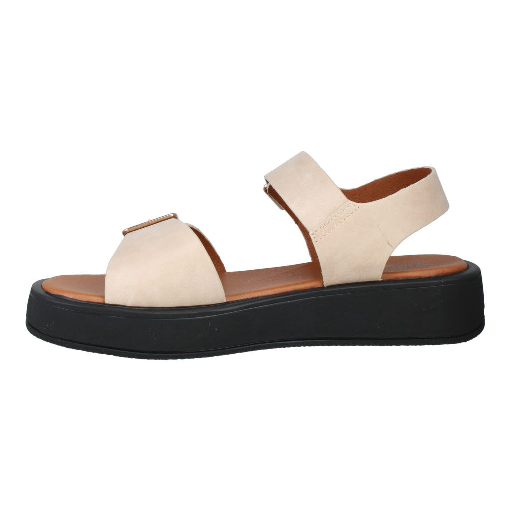 Westland Macie 03 women's off-white vegan buckle sandals with padded sole and chunky black platform outsole.