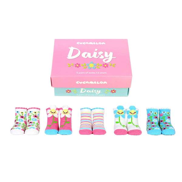 Cucamelon Daisy Socks Box